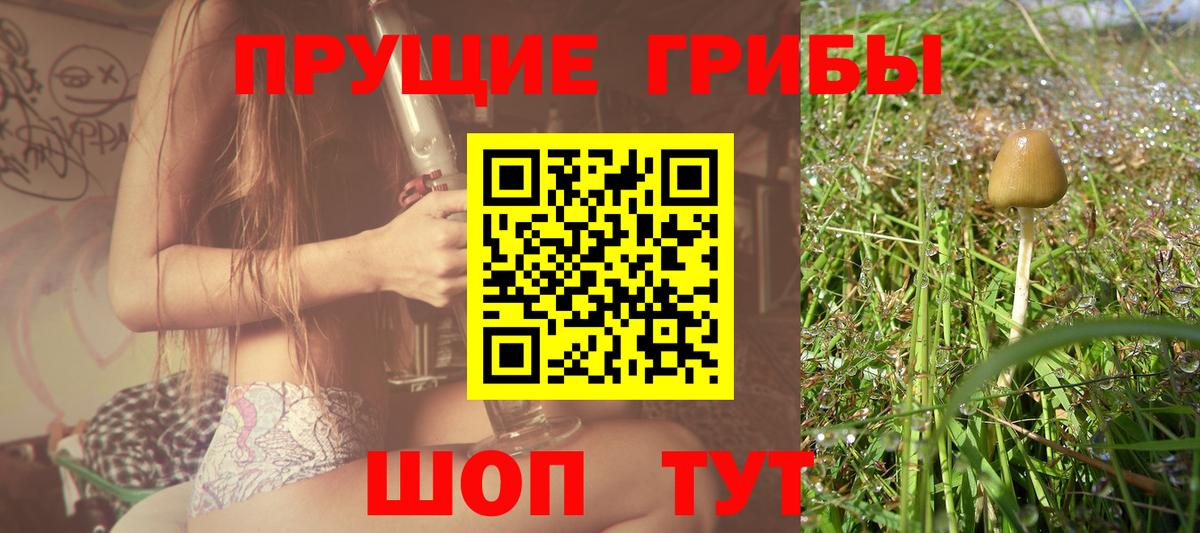 Галлюциногенные грибы GOLDEN TEACHER  Галлюциногенные грибы мухоморы  Вход с VPN  Елизово 